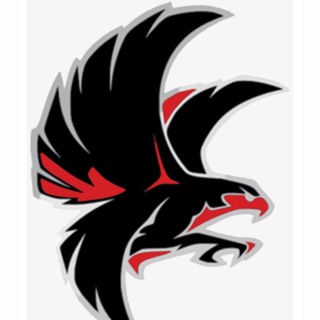 Логотип @blackbirdtrading - BlackBird Trading (Trader's Community)