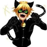 Логотип @blackcat805 - Черный кот | Леди баг и Супер кот