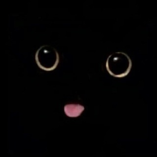 Логотип @blackcatmem - Чёрные коты