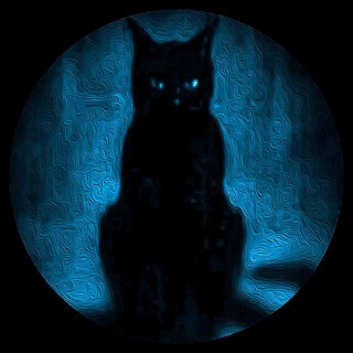 Логотип @blackcatroom - Комната кота