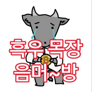 Логотип @blackcowchat - 흑우목장 음머~방 🐃