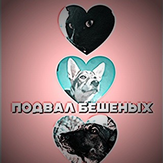 Логотип @blackdogsssandarts - Подвал бешеных 🔫