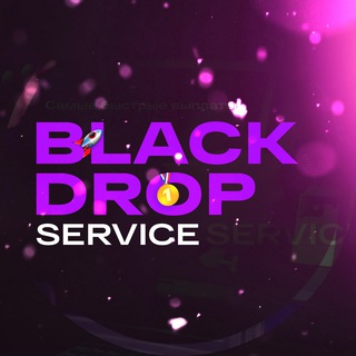Логотип @blackdroopservice - BLACK DROP SERVICE