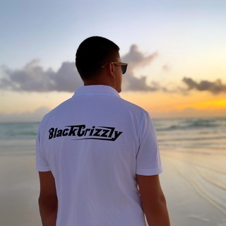 Логотип @blackgrizzlychat - Чат digital BlackGrizzly