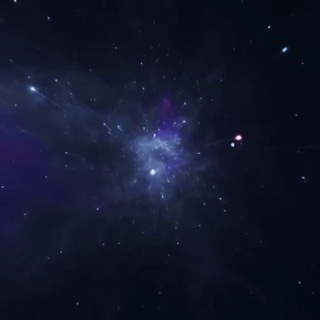 Логотип @blackjusticecommunityofficial - Black Justice COMMUNITY Official Channel