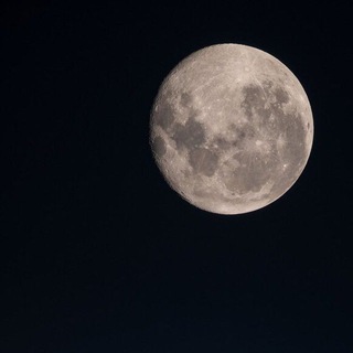 Логотип @blackkatrinart - black katrin 🧡🍊