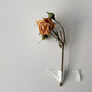 Логотип @blacklist59 - эстетично