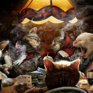 Логотип @blackmambaparty - 🔥𝕭𝖑𝖆𝖈𝖐 𝕸𝖆𝖒𝖇𝖆 𝕻𝖆𝖗𝖙𝖞🔥