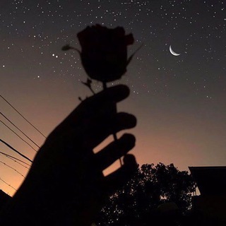 Логотип @blacknights - 6lacknights