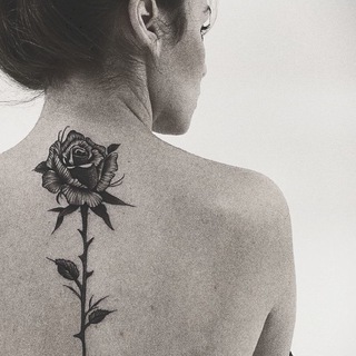 Логотип @blackrose_mk - Black Rose🥀