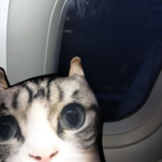 Логотип @blackrussianofake - Полиция