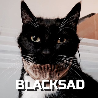 Логотип @blacksad2 - Black Sad