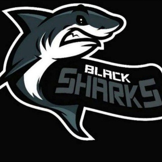 Логотип @blackshurksteam - Black Sharks || Black Russia
