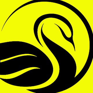Логотип @blackswan_wl - Black Swan | Whitelists