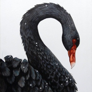 Логотип @blackswan_yra - BlackSwan