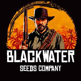 Логотип @blackwater_market - Blackwater