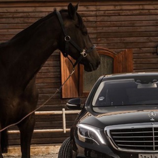 Логотип @blacore - 🐎