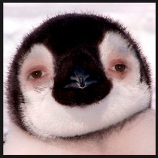 Логотип @blagowhiteofficial - blago white