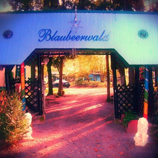 Логотип @blaubeerwald_institut - Blaubeerwald-Institut