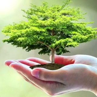 Логотип @bleib_natuerlich_gesund - Bleib natürlich gesund