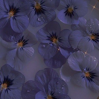 Логотип @blessingyouthsmoment - ~×Цветущей юности момент×~