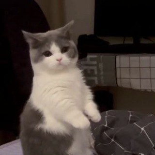 Логотип @blinkova03 - блинкова🍙