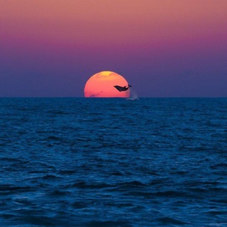 Логотип @blissishere - Тот самый канал💤