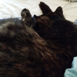 Логотип @blitzgrouparts - Обсуждение артов ❤️