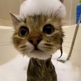 Логотип @blkkko - blkkko