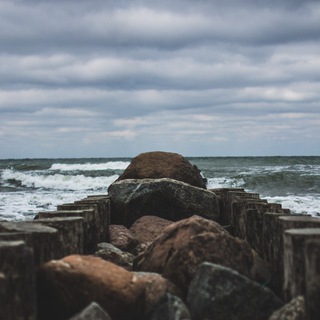 Логотип @blkvphoto - blkv.d photo