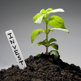 Логотип @blogdmkarelovcom - 📊Экономика, Инвестиции и Финансы💰