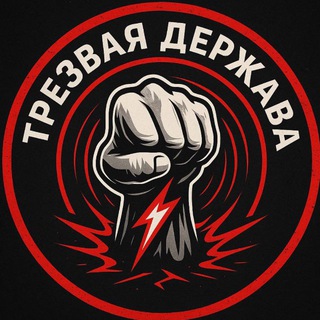 Логотип @blogdudinscogo - ТРЕЗВАЯ ДЕРЖАВА