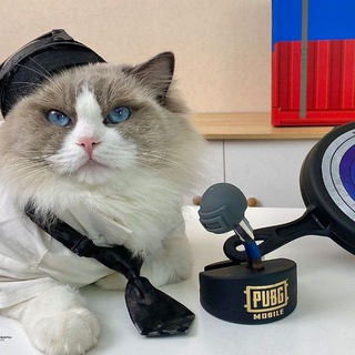 Логотип @bloger_pati - КУПИТЬ UC В PUBG MOBILE