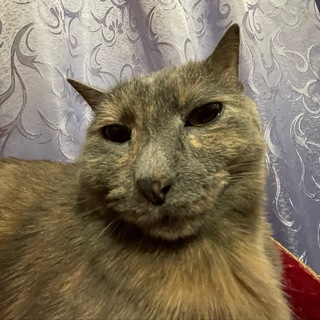 Логотип @bloglaryski - Блог Ларисы