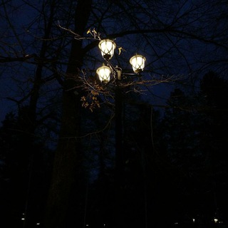 Логотип @blogmarreti - микроблог 🚩