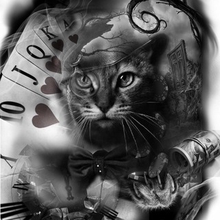 Логотип @blogonecat - Про мобайл от Кота