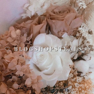 Логотип @blogshopsteals - ☆*:.｡. 𝐛𝐥𝐨𝐠𝐬𝐡𝐨𝐩𝐬𝐭𝐞𝐚𝐥𝐬 ♡🦋🤍