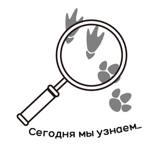 Логотип @blogummhureira - Сегодня мы узнаем...🔎