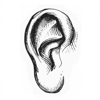 Логотип @BlohaUHO - Блоха “У ХО”