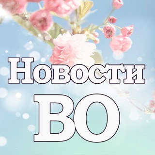 Логотип @bloknov - Новости - Воронежская область 📝