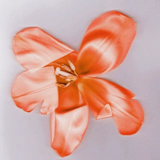 Логотип @bloodknows - æ