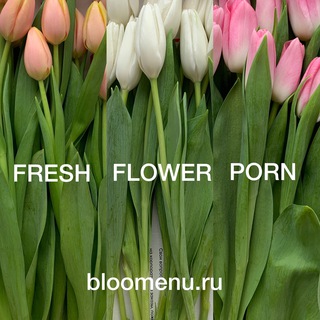 Логотип @bloomenu - BLOOMENU
