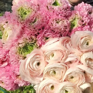 Логотип @blooming_garden_by_the_lake - Blooming garden by the lake