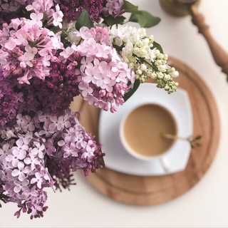 Логотип @bloominghome - 🌸BLOOMING HOME 🌸