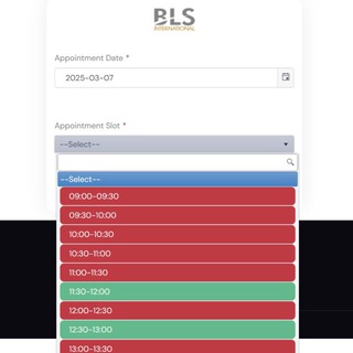 Логотип @blsspainvisa - Испанский визовый центр | мониторинг дат