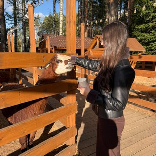 Логотип @blueberry0o - bog_dasha