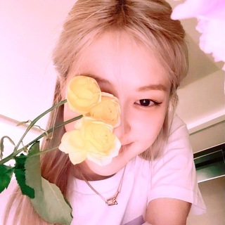 Логотип @blueberrycards - K-pop SHOP | BlueberrySHOP