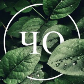 Логотип @blueberrysquade - Черничный отряд