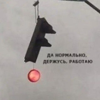 Логотип @bluebluew - Голубой вагон 🏳️‍🌈
