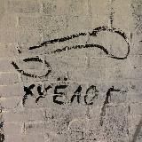 Логотип @bluecher - Хуёлог